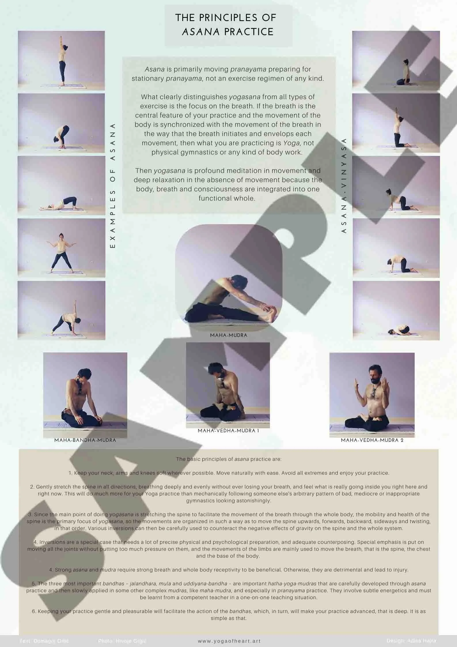 Series of 6 Yoga Education Posters by Domagoj Orlić & Adisa Hajra